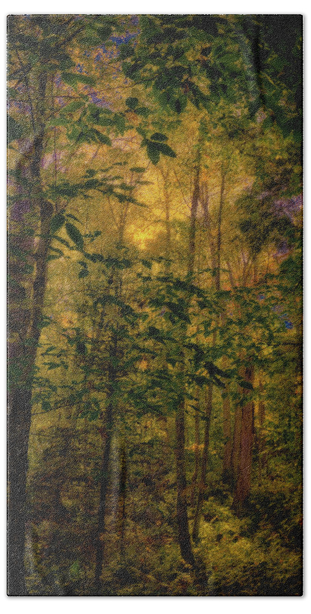 Light In The Forest Hand Towel featuring the photograph Light in the Forest by David Patterson
