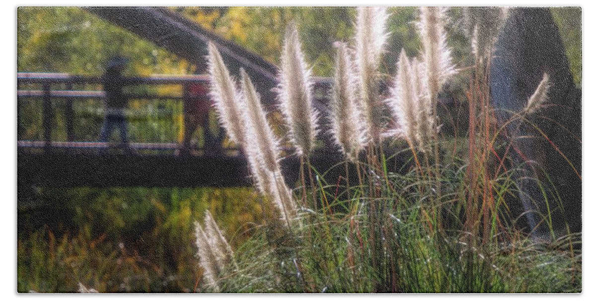 Autumn Bath Towel featuring the photograph Light Nature Cattails Explore by Chuck Kuhn