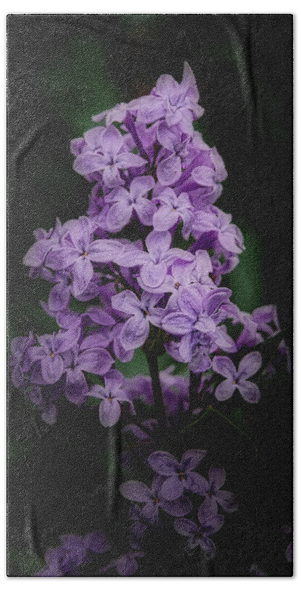 Lilac Bath Towel featuring the photograph Lilacs for Annie by Ernest Echols