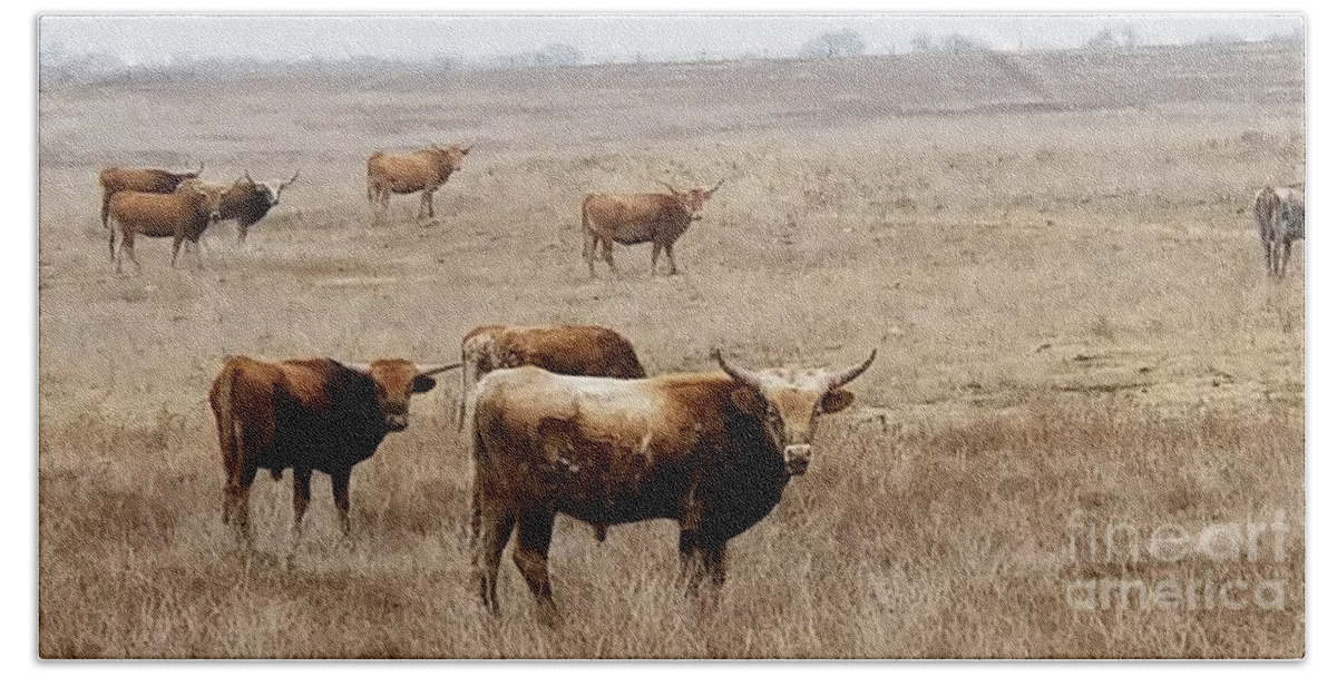 Longhorn Hand Towel featuring the photograph Longhorns of Texas by Deb Arndt