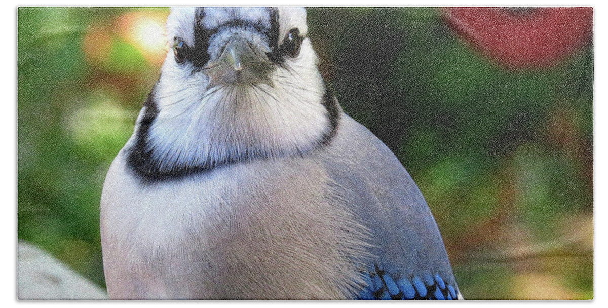 Blue Jay Bath Towel featuring the photograph Look Into My Eyes...You Are Getting Sleepy... by Linda Stern