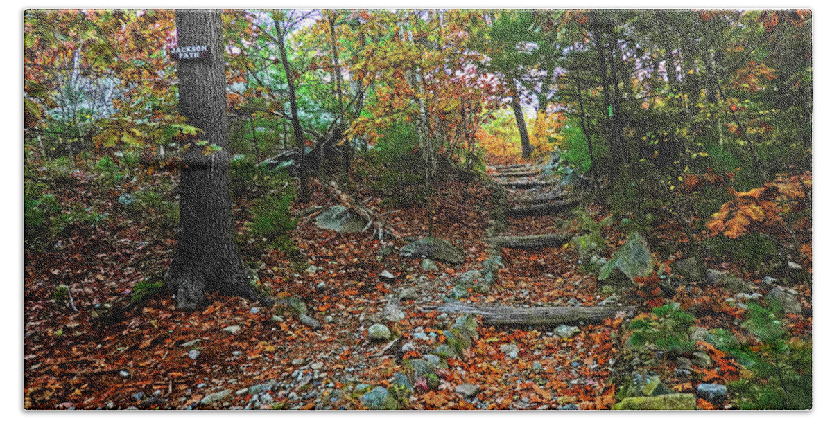 Lynn Bath Towel featuring the photograph Lynn Woods Stairs Jackson Path Fall Foliage Lynn Massachusetts by Toby McGuire