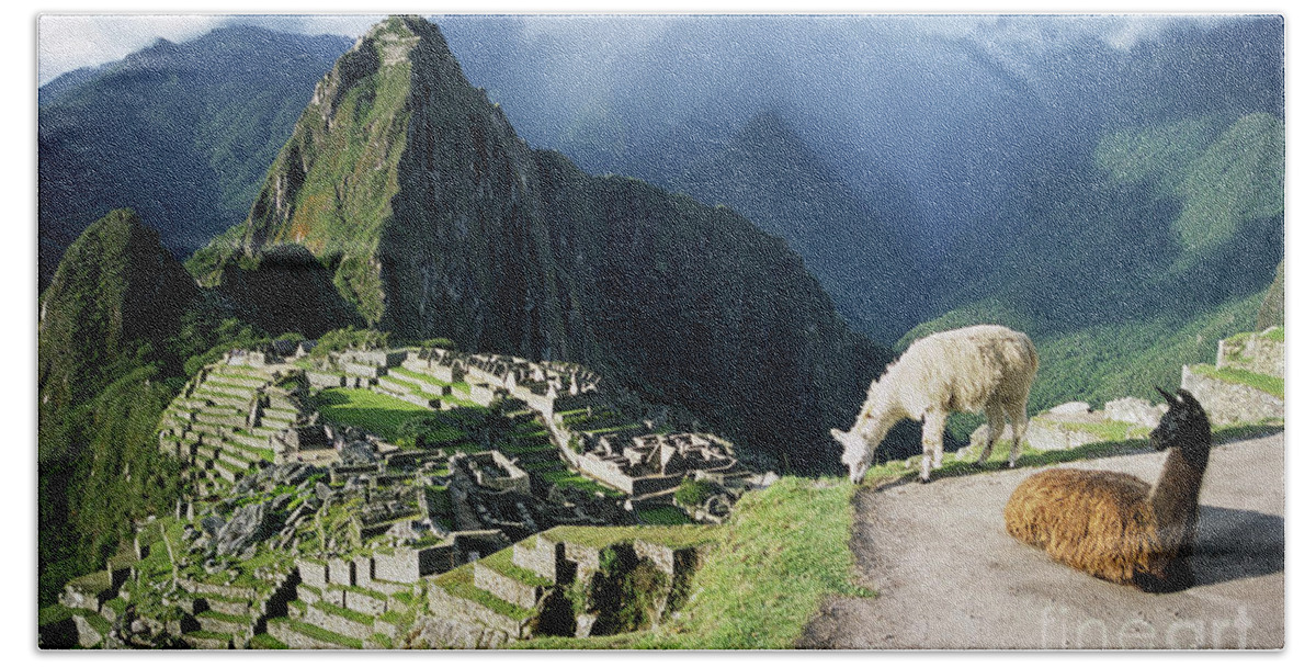 Machu Picchu Bath Towel featuring the photograph Machu Picchu and llamas by James Brunker