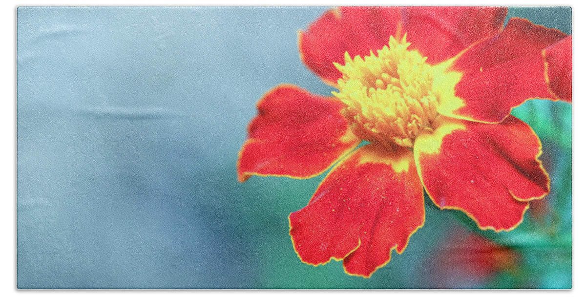 Marigold Bath Towel featuring the photograph Magical Marigold Bloom by Laura Smith