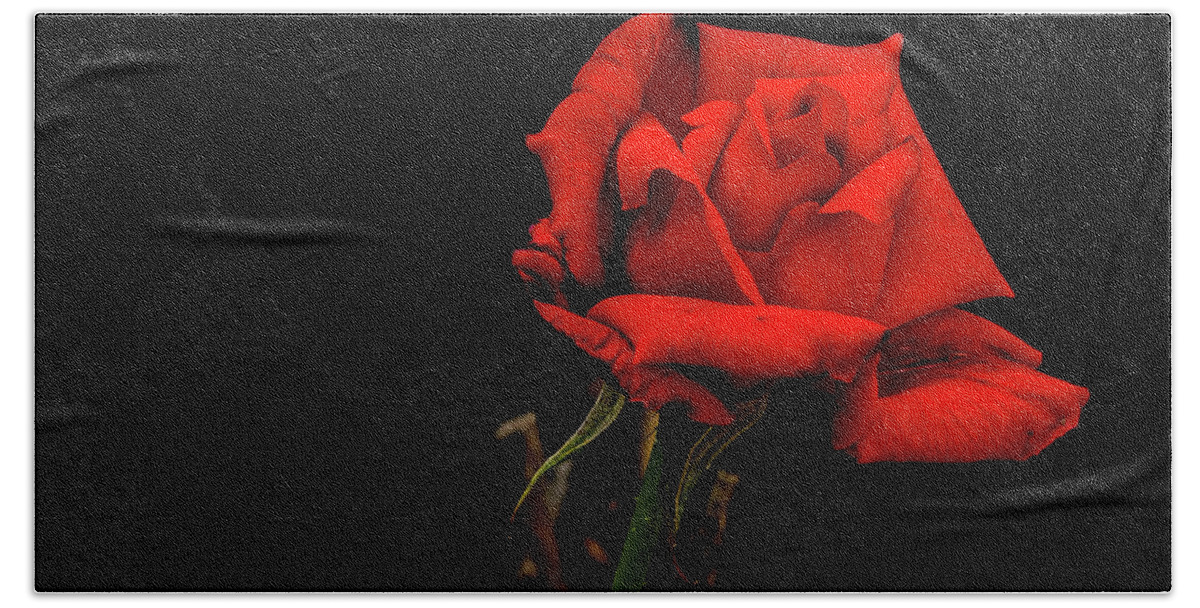 Flower Bath Towel featuring the digital art Magnificent Red Rose by Ed Stines