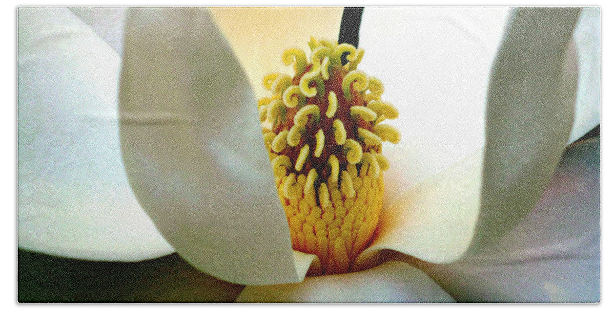 Magnolia Bloom Hand Towel featuring the photograph Magnolia Bloom Macro by Mike McBrayer