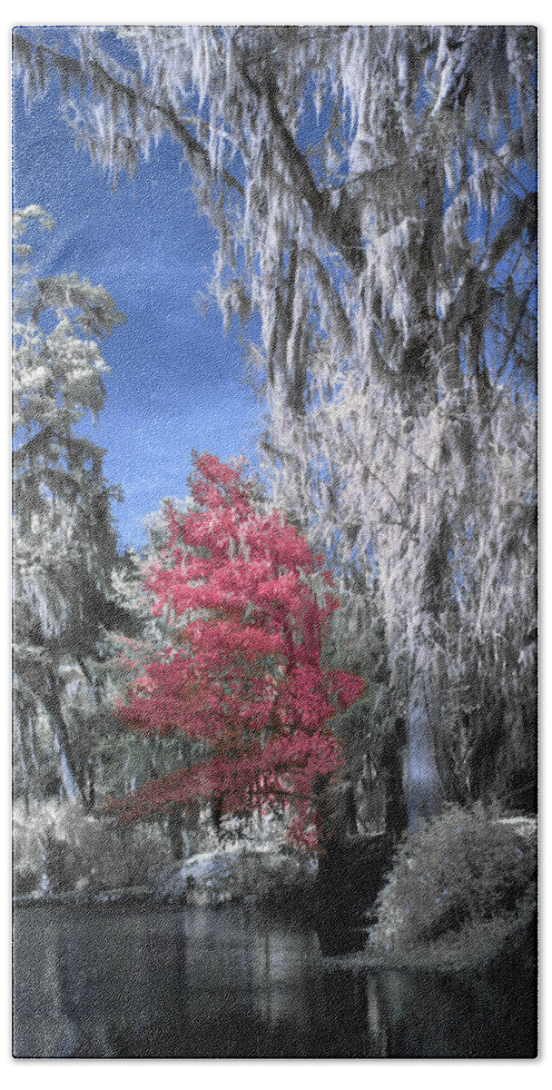 Garden Bath Towel featuring the photograph Magnolia Plantation in Red by Jon Glaser