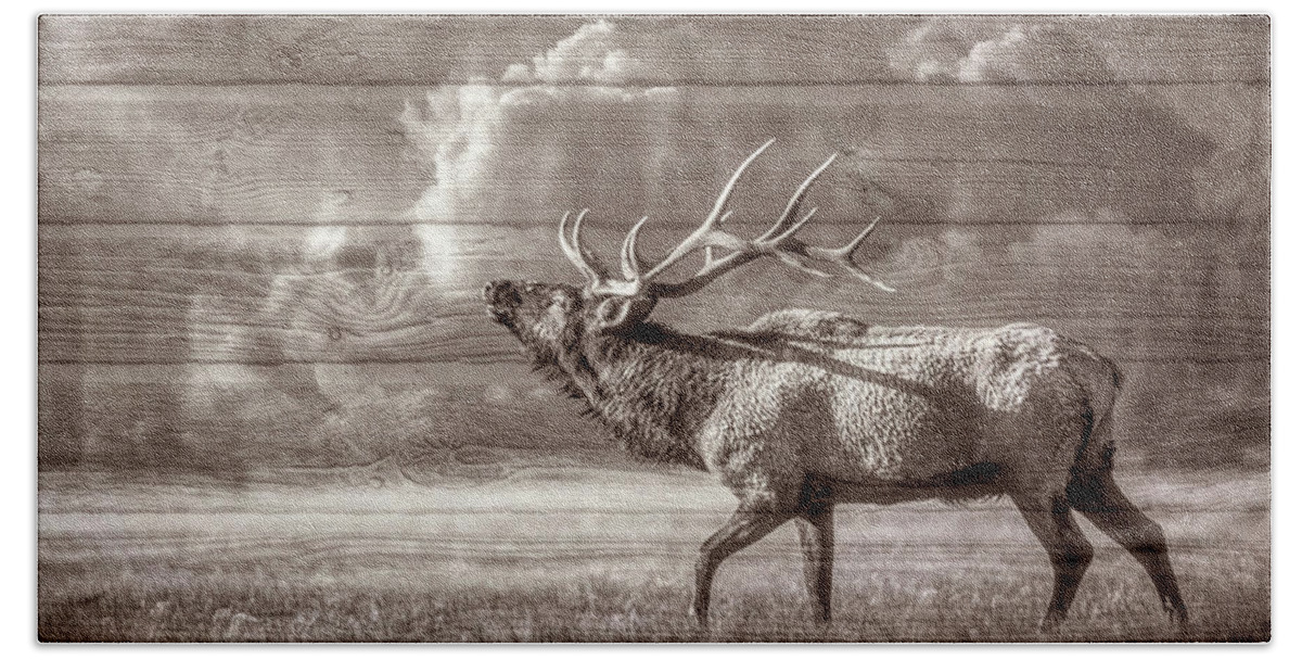 Animals Bath Towel featuring the photograph Majestic Elk in Sepia by Debra and Dave Vanderlaan