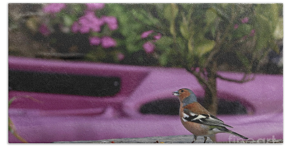 Chaffinch Bath Towel featuring the photograph Male Chaffinch by Terri Waters