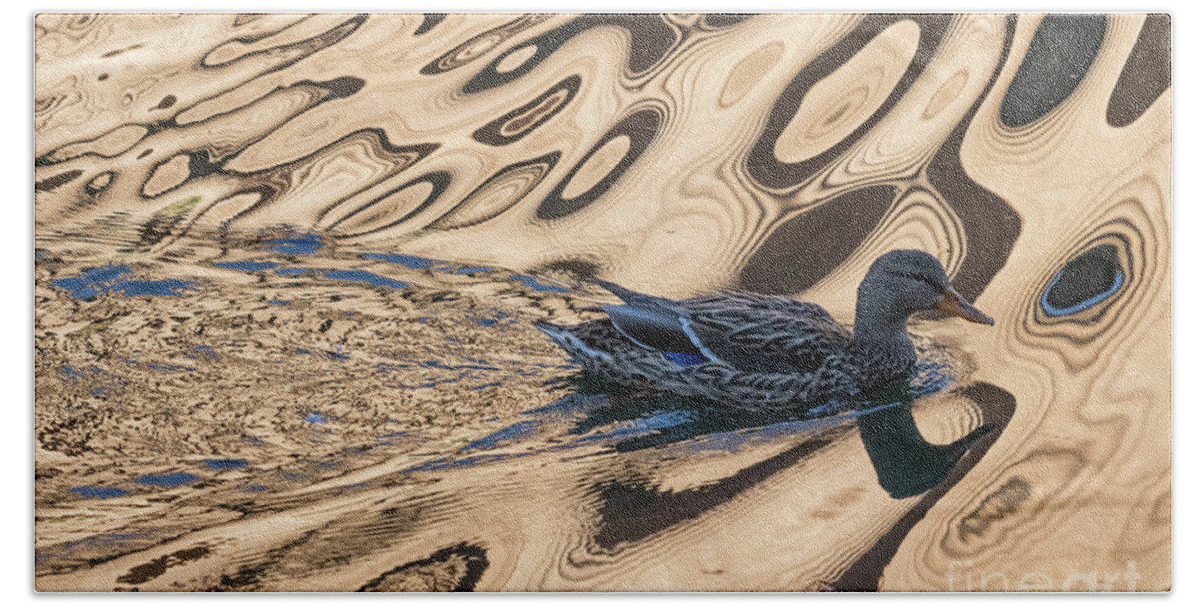 Mallard Hand Towel featuring the photograph Mallard Reflections in Blue by Kate Brown