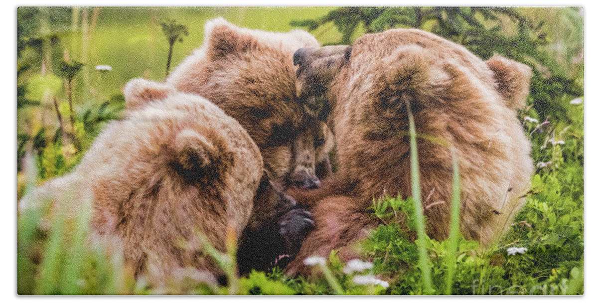 Cub Hand Towel featuring the photograph Mama bear nursing her two cubs, Lake Clark National Park, Alaska by Lyl Dil Creations