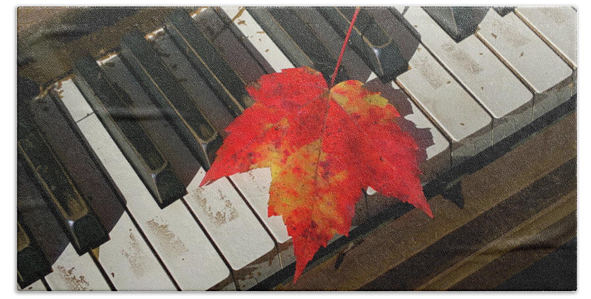 Maple Leaf Hand Towel featuring the photograph Maple Leaf Rag by Jerry LoFaro