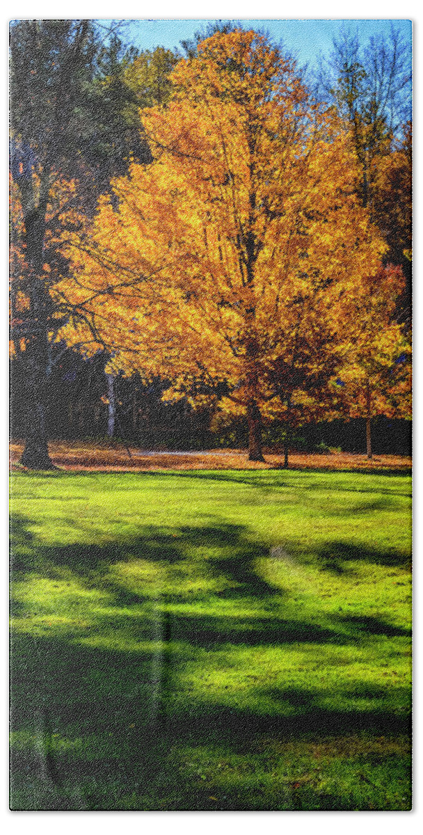 Hayward Garden Putney Vermont Bath Towel featuring the photograph Maple Tree in Fall Color by Tom Singleton