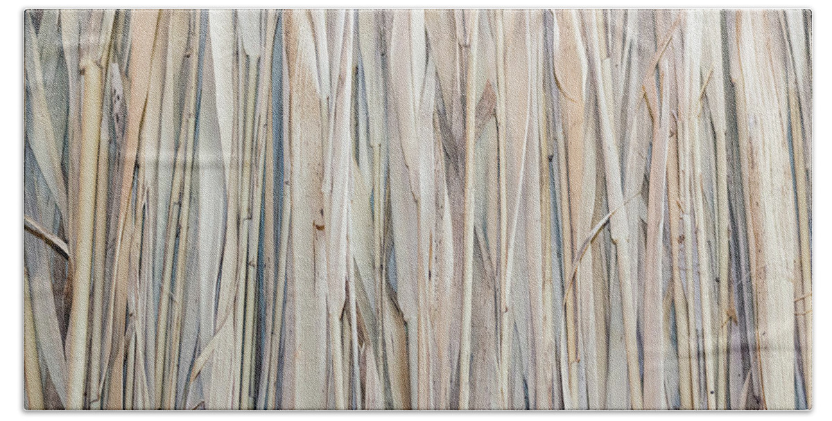 Italy Hand Towel featuring the photograph Marsh Plants Huts by Vivida Photo PC