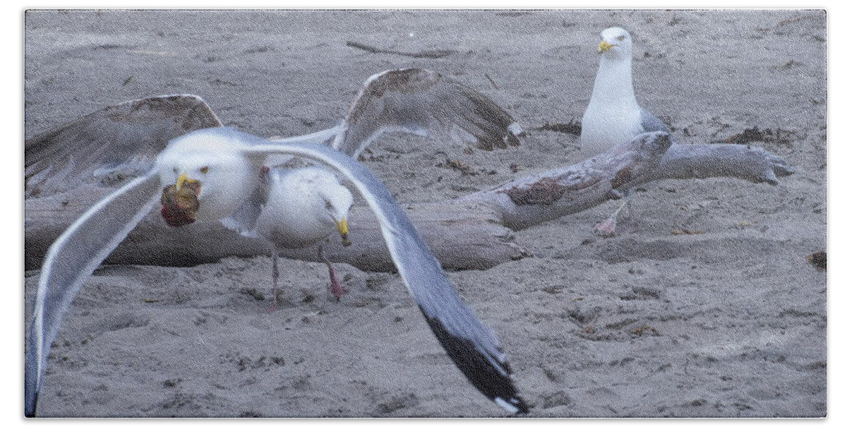 Seagulls Hand Towel featuring the photograph Mine by Jean Evans