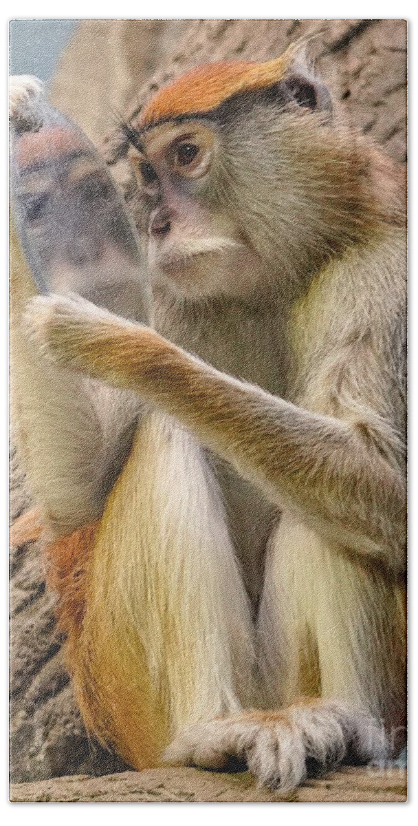 Monkey Hand Towel featuring the photograph Mirror Selfie by Susan Rydberg