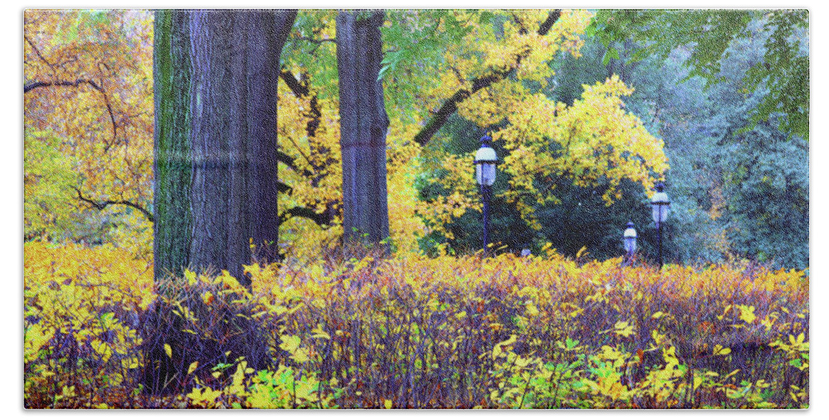Autumn Bath Towel featuring the photograph Missouri Botanical Garden by John Lautermilch