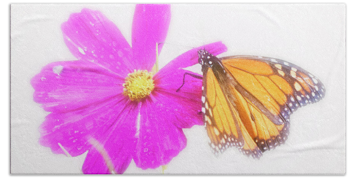 Monarch Butterfly Hand Towel featuring the digital art Monarch Butterfly, Cosmos Flower, Digital Art by A Macarthur Gurmankin