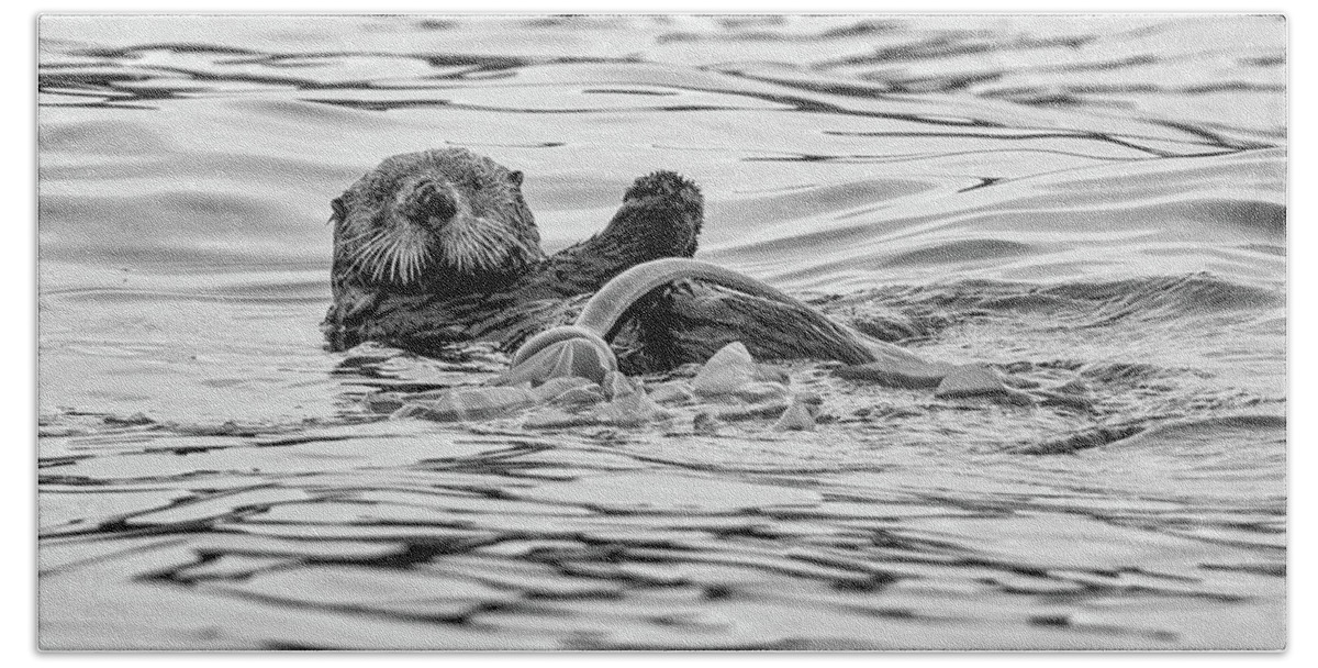 Sea Otter Hand Towel featuring the photograph Monochrome Sea Otter by Mark Hunter