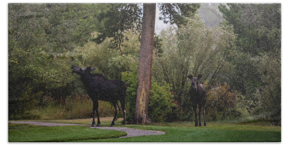 Moose Eating Bath Towel featuring the photograph Moose in my back yard by Julieta Belmont