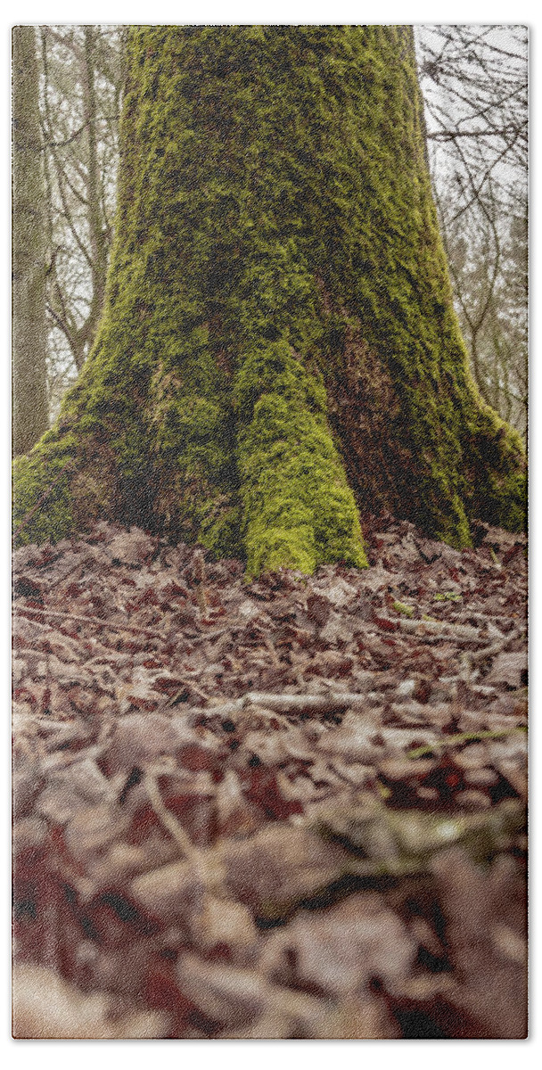 Art Bath Towel featuring the photograph Mossy Tree by Scott Lyons