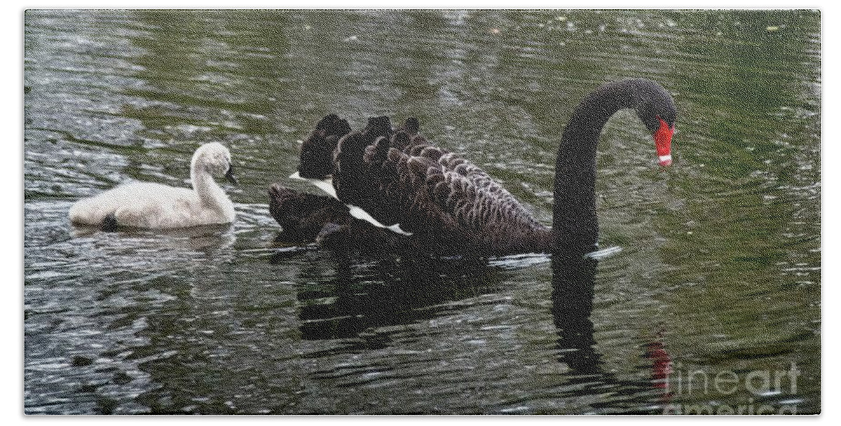 Swan Bath Towel featuring the photograph Mother and baby by Fran Woods