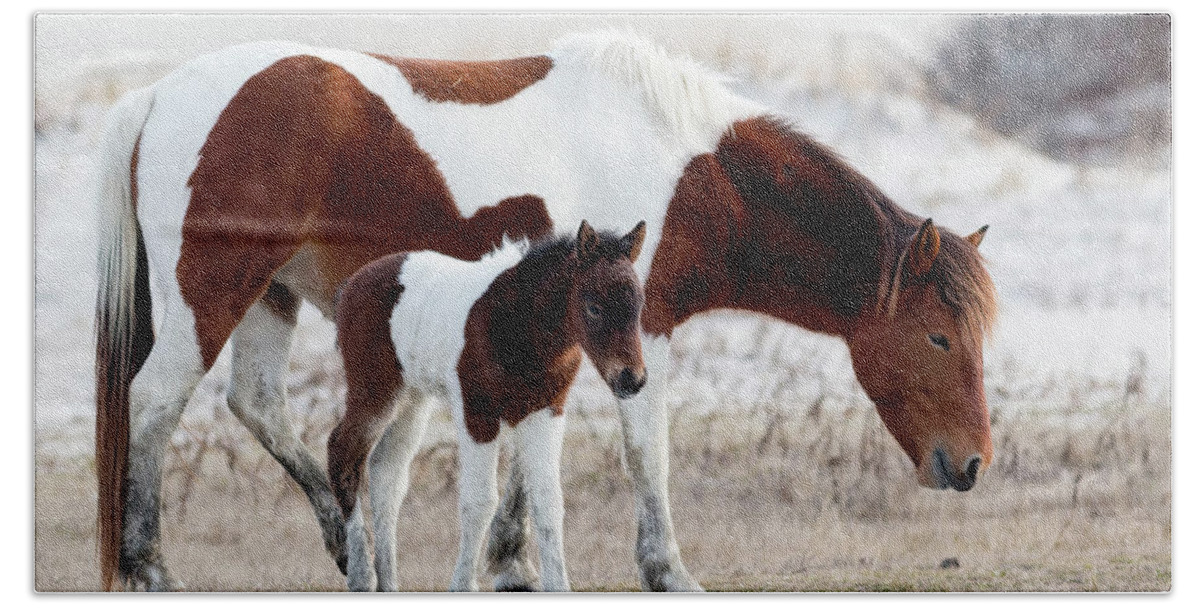 Assateague Island Bath Towel featuring the photograph Mother and daughter by Ken Fullerton
