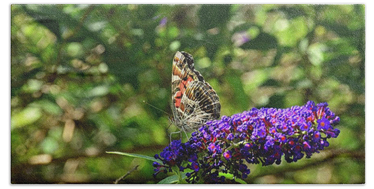 Admiral Butterfly 2 Bath Towel featuring the photograph Admiral Butterfly 2 by Lisa Wooten