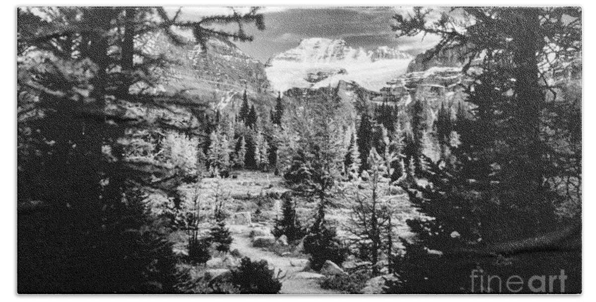 Fine Art Black And White Hand Towel featuring the photograph Mount Fay from Larch Valley Trail by Steve Ember