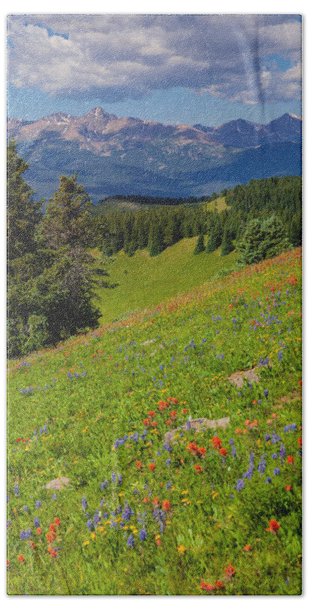 Flower Bath Towel featuring the photograph Mount of the Holy Cross from Shrine Ridge by Fred J Lord