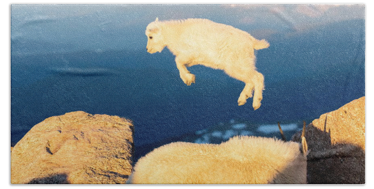 Mountain Goat Hand Towel featuring the photograph Mountain Goat Kid Tries to Fly by Tony Hake