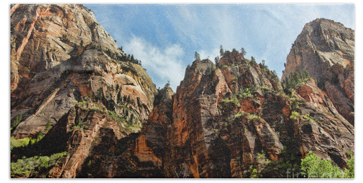 Zion National Park Bath Towel featuring the photograph Mountains Trees Zion by Chuck Kuhn