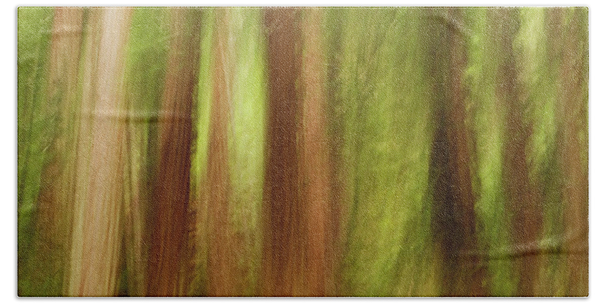 Sebastian Kennerknecht Bath Towel featuring the photograph Muir Woods Redwoods Abstract by Sebastian Kennerknecht