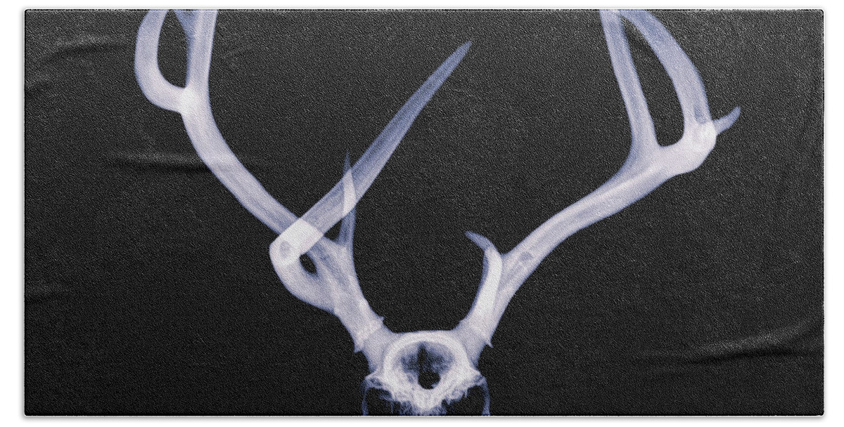 Kansas Bath Towel featuring the photograph Mule Deer x-ray 001 by Rob Graham