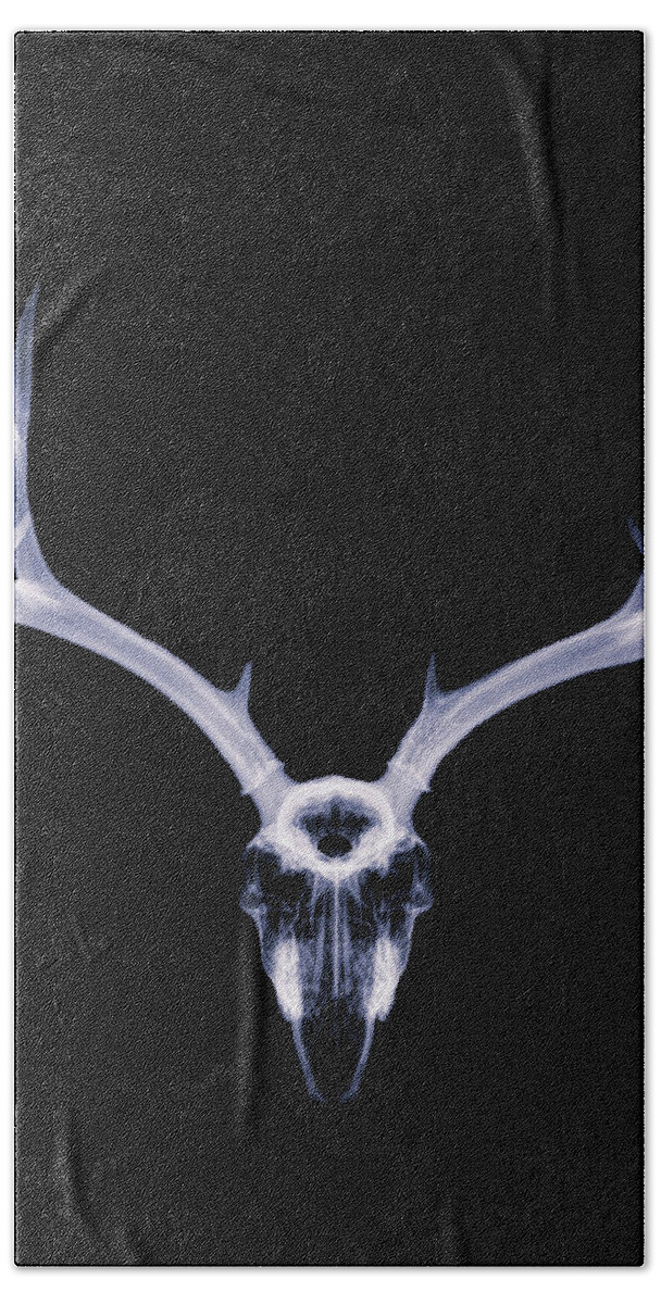 Kansas Hand Towel featuring the photograph Mule Deer x-ray 002 by Rob Graham
