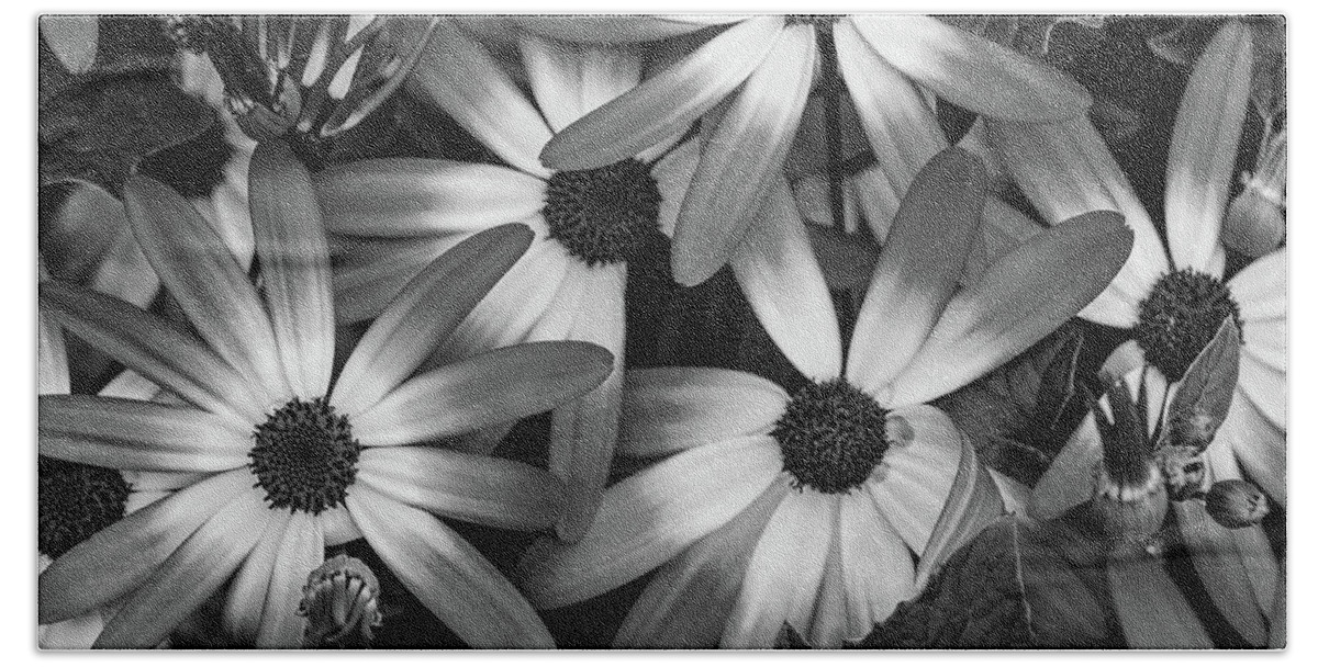 Nature Bath Towel featuring the photograph Multiple Daisies Flowers by Louis Dallara