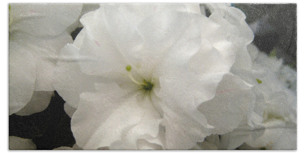 Azalea Bath Towel featuring the photograph Mum's Azalea by Lin Grosvenor