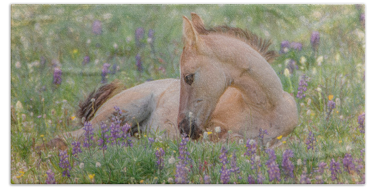 Wild Mustangs Hand Towel featuring the photograph Wild Mustang Foal in the Wildflowers by Marcy Wielfaert