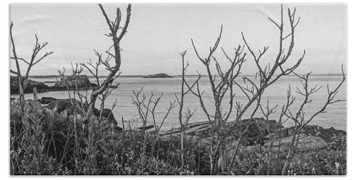 Nahant Bath Towel featuring the photograph Nahant MA Egg Rock through the Trees Black and White by Toby McGuire