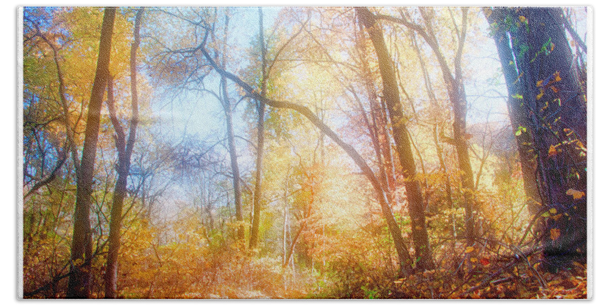 Narrow Path Bath Towel featuring the photograph Narrow Path in a Forest, Autumn by A Macarthur Gurmankin