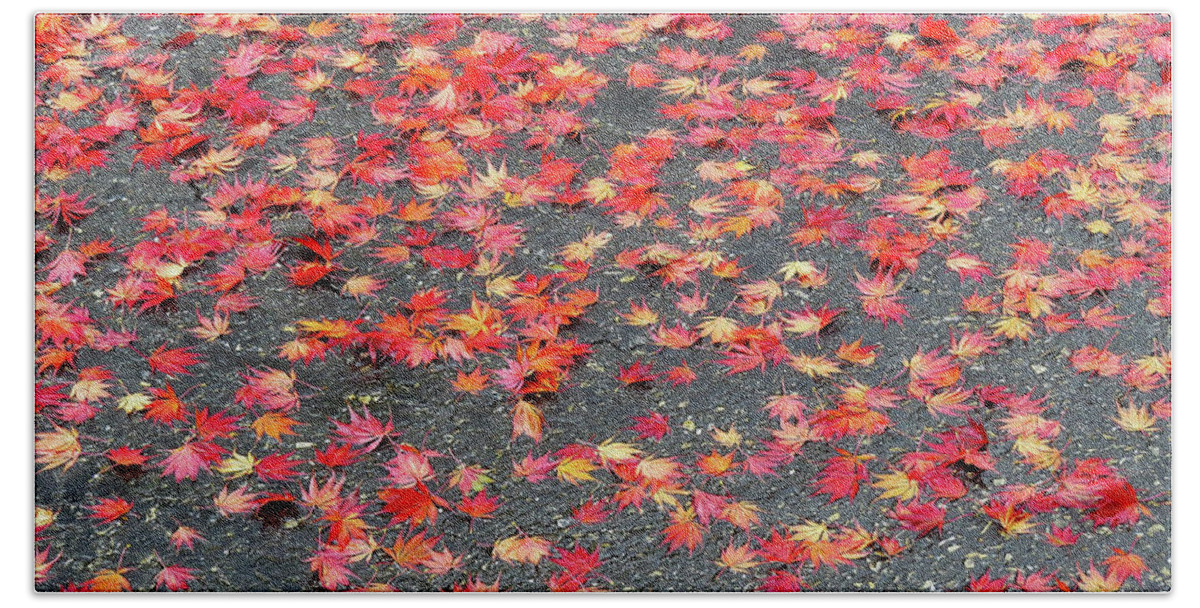 Autumn Bath Towel featuring the photograph Nature's Confetti by Linda Stern