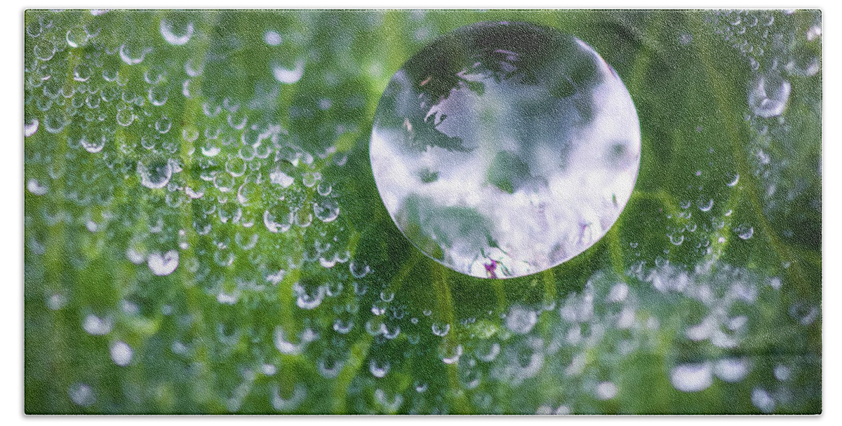 Dew Bath Towel featuring the photograph Natures Crystal Ball by Brad Bellisle