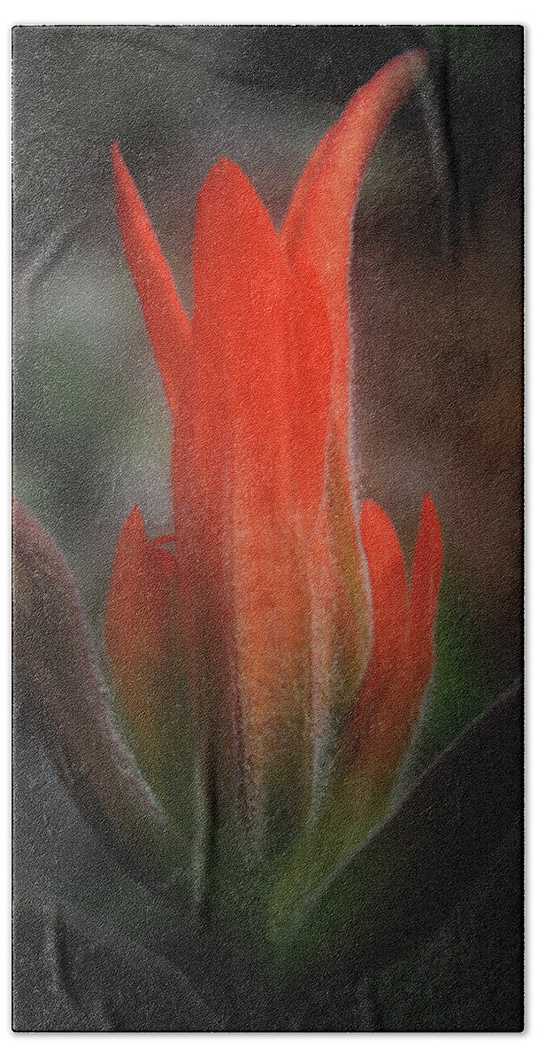 Indian Hand Towel featuring the photograph Nature's Fire by Brian Gustafson
