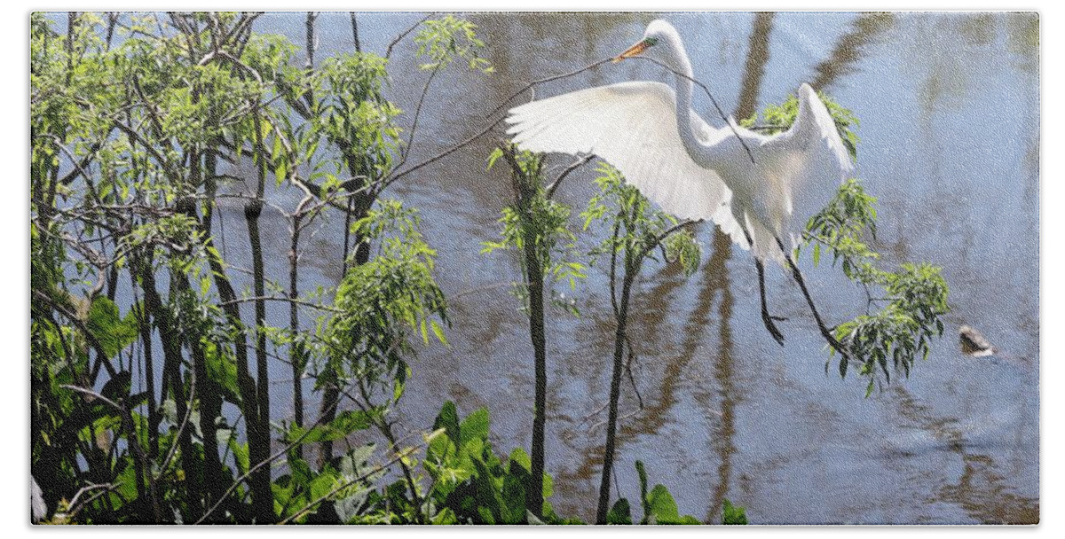 Egret Bath Towel featuring the photograph Nest Building Great Egret over Blue Water by Carol Groenen