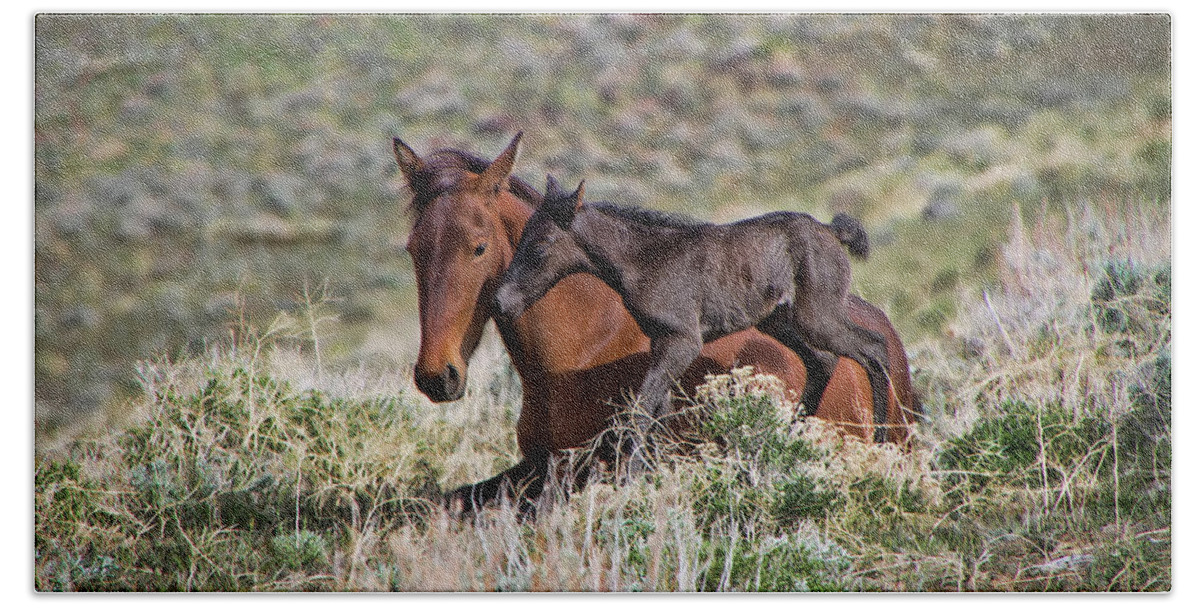 Horse Hand Towel featuring the photograph Newborn wild foal and mare by Waterdancer