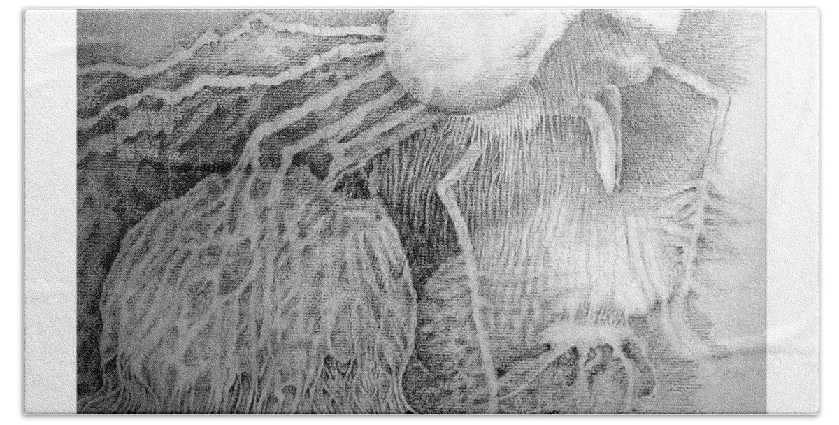 Pencil Bath Towel featuring the drawing Undersea Encounter by Rosanne Licciardi