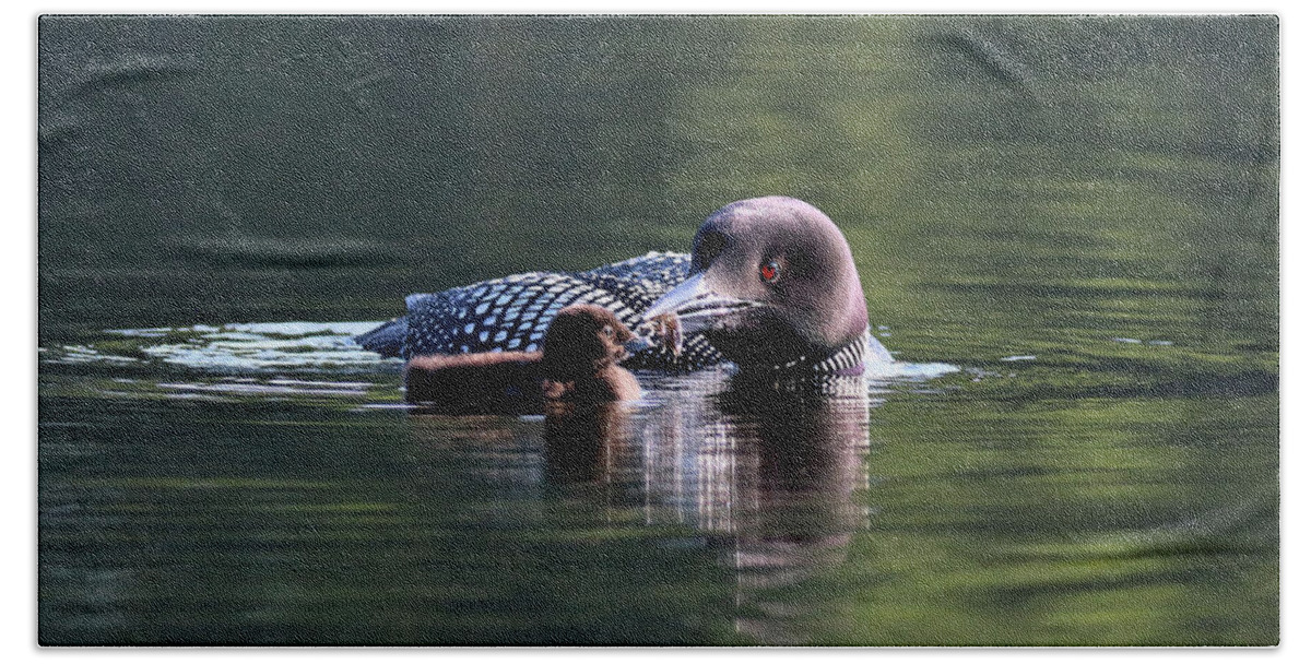 Common Loon Hand Towel featuring the photograph No Thanks by Sandra Huston
