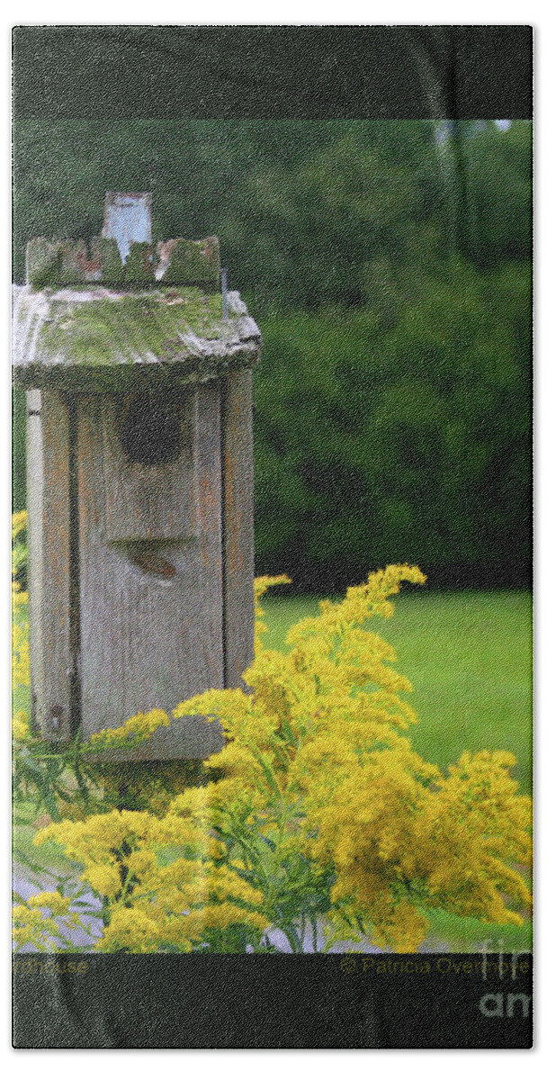 Bird House Bath Towel featuring the photograph Old Birdhouse by Patricia Overmoyer