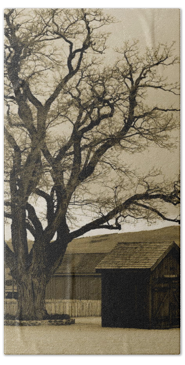 Old Shed Hand Towel featuring the photograph Old Shanty in Sepia by Colleen Cornelius