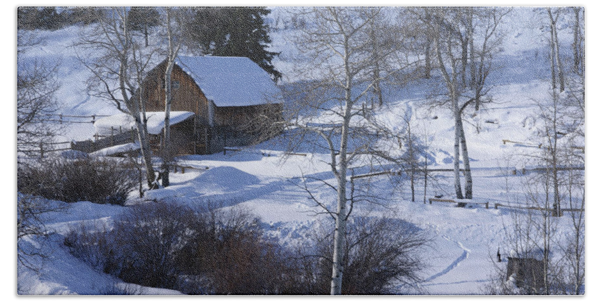 Snow Hand Towel featuring the photograph Old western barn in snow with aspens by Steve Estvanik